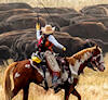 SD Buffalo Roundup